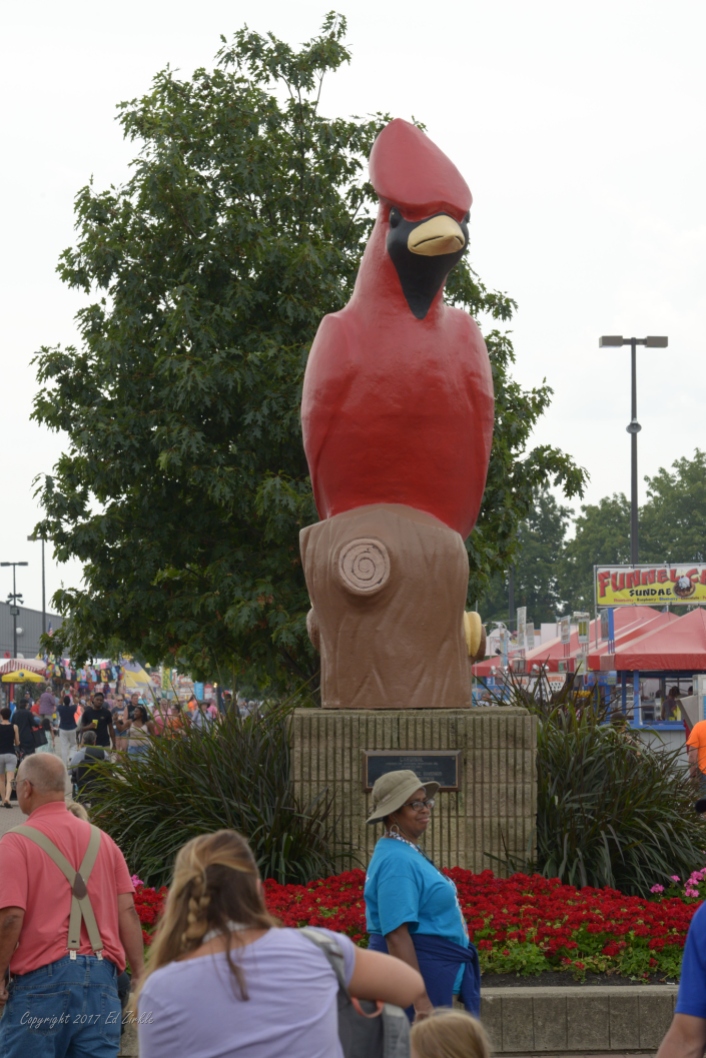 2017 Ohio State Fair Cardinal, Ohio state bird